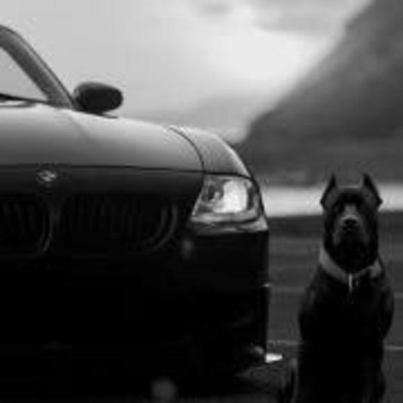 Meet your Posher, Nadysha - Picture 1 of 1